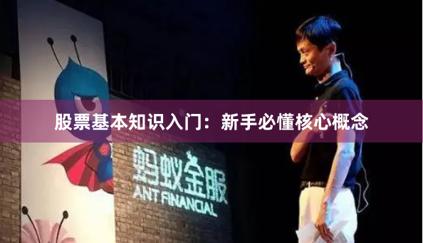 股票基本知识入门：新手必懂核心概念